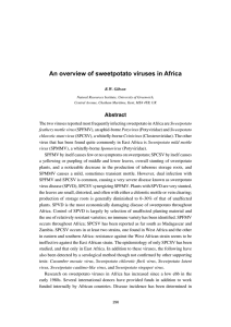 An overview of sweetpotato viruses in Africa