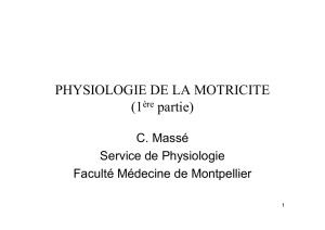 PHYSIOLOGIE DE LA MOTRICITE (1&egrave;re partie)