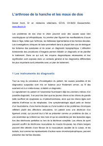 L`arthrose de la hanche et les maux de dos