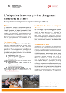 L`adaptation du secteur priv&eacute; au changement climatique au Maroc