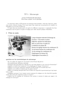 TP 5 : Microscopie