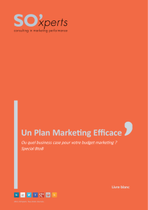 Livre blanc Un Plan Marketing Efficace