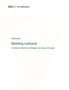 Marketing multicanal - E