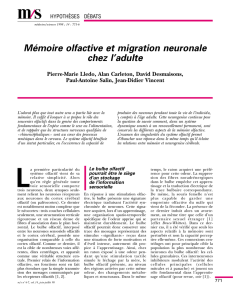 Mémoire olfactive et migration neuronale chez l`adulte - iPubli