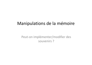 Manipulations de la m&eacute;moire