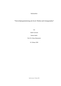 “Netzwerkprogrammierung mit Java2: Risiken und Lösungsansätze”