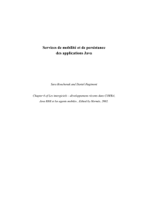 Services de mobilité et de persistance des applications Java