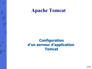 Utilisation netbeans avec Tomcat