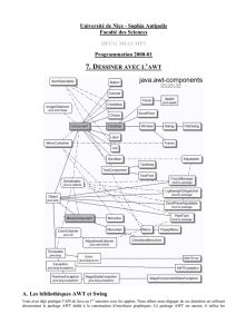 7. DESSINER AVEC L`AWT