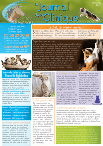 LeJournal de laClinique - Clinique Vétérinaire Océan