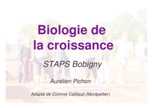 STAPS Bobigny