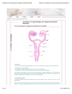 Anatomie et physiologie de l`appareil génital féminin