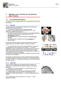 2 R&eacute;gulation de la fonction de reproduction chez l`homme