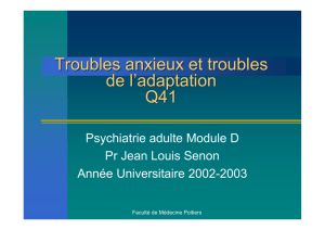 Troubles anxieux et troubles de l`adaptation Q41 Troubles anxieux