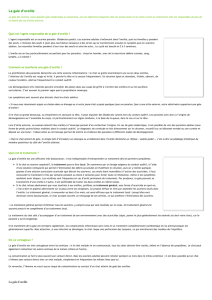 Télécharger la fiche
