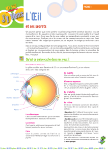 FICHES l`oeil et ses secrets