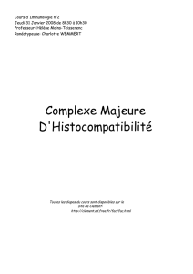 Complexe Majeure D`Histocompatibilité