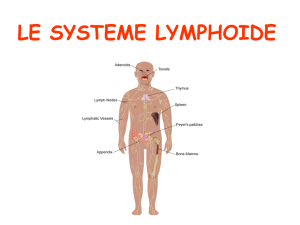 Diapo LYMPHOIDE 2009