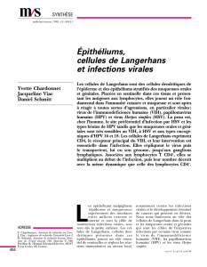 Épithéliums, cellules de Langerhans et infections - iPubli