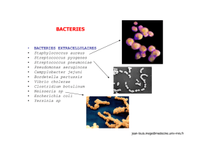 SCHEMA GENERAL DE LA REPONSE IMMUNE ANTIBACTERIENNE