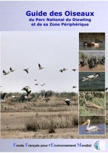 Guide des Oiseaux - Nature Mauritanie