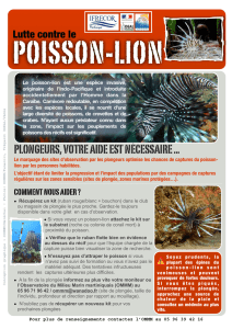 Poisson lion V1 - Observatoire de l`Eau de Martinique