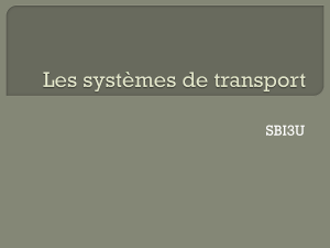 Les systèmes de transport