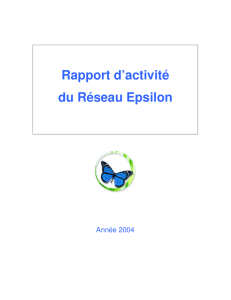 Rapport d`activité du Réseau Epsilon