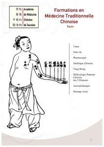 Formations en Médecine Traditionnelle Chinoise