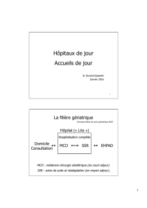Hôpitaux de jour Accueils de jour