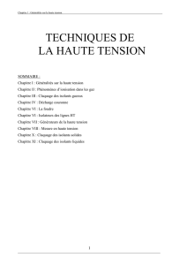 TECHNIQUES DE LA HAUTE TENSION