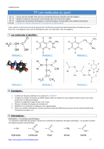 2nde_TP11 Molecules sport LPC
