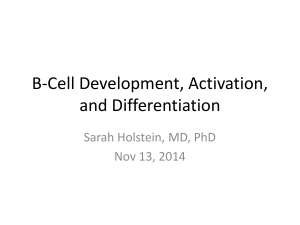holstein b cell lecture 11-13-14