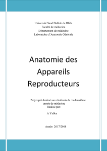 Appareils reproducteurs 
