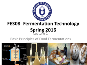 lecture-1-basic-principles-of-food-fermentation-1487564123-converted