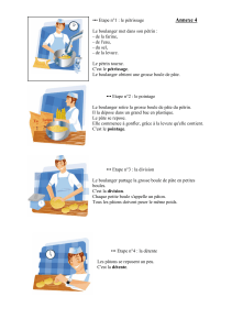 annexe-4-les-8-etapes-de-la-fabrication-du-pain
