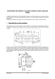 project FPGA