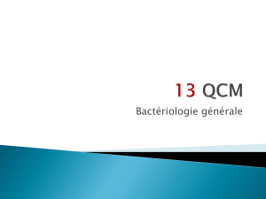 13-QCM-bacteriologie-general