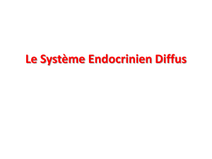 Le Systeme Endocrinien Diffus D1
