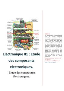 magoe cours electronic 01