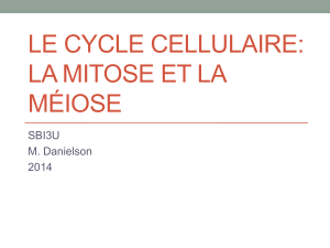 Cycle-Cellulaire-2014