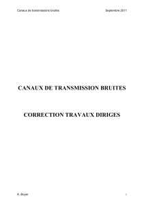 correction TD canaux transmission 2011