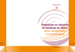 Population en situation de handicap au Maroc   Profil démographique  et socio-économique