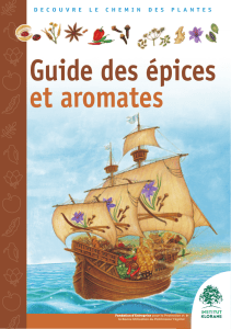 323562023-Guide-Des-Epices-Et-Aromates