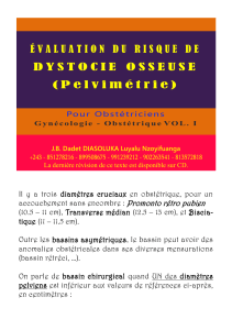 Pelvimétrie - ÉVALUATION DU RISQUE DE L'ACCOUCHEMENT (DYSTOCIE OSSEUSE)