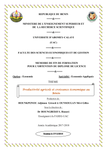 Productivité agricole et croissance au Bénin
