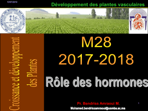 2 role phytohormone 17-18