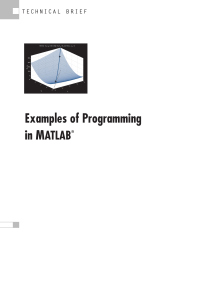 Examples of Programming in Matlab