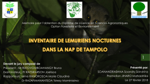 Inventaire de lémuriens nocturnes dans la NAP de Tampolo