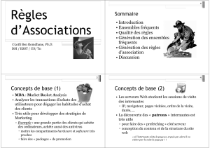 R&egrave;gles d'Association : Data Mining